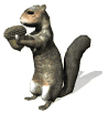 ardilla06.gif