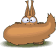 ardilla08.gif