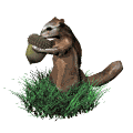 ardilla10.gif