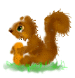 ardilla13.gif