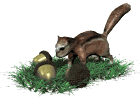 ardilla14.gif
