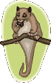 ardilla15.gif