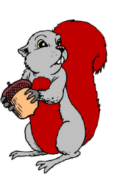 ardilla17.gif