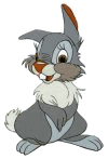 ardilla19.gif