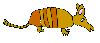 armadillo01.gif