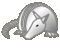 armadillo02.gif