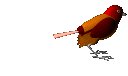 aves02.gif