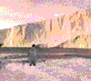 aves106.gif