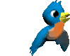aves11.gif