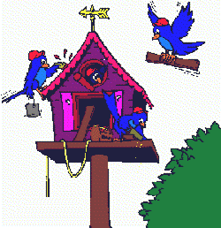 aves111.gif