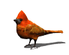 aves18.gif