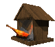 aves22.gif