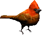 aves23.gif