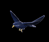 aves28.gif
