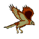 aves65.gif