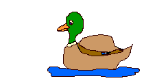 aves89.gif