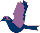 aves93.gif