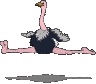 avestruz03.gif