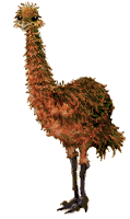 avestruz07.gif