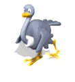avestruz13.gif