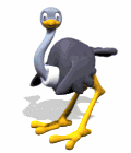 avestruz14.gif