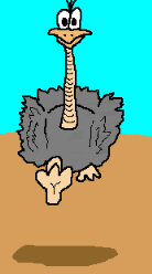 avestruz15.gif
