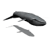 ballena05.gif