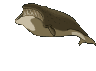 ballena07.gif