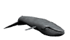 ballena08.gif