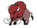 bisonte01.gif