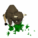 bisonte04.gif