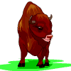 bisonte08.gif