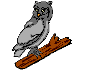 buho03.gif