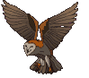 buho09.gif