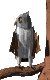 buho11.gif