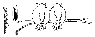 buho14.gif