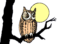buho15.gif