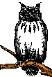 buho21.gif