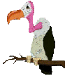 buitre17.gif