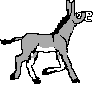 burros03.gif