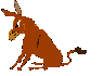 burros04.gif
