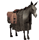burros10.gif
