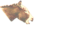 burros15.gif