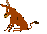 burros17.gif