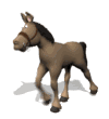 burros21.gif