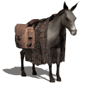 burros22.gif