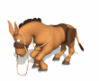 burros24.gif