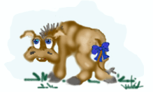 burros28.gif