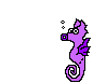 caballo-mar06.gif