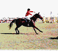 caballo03.gif